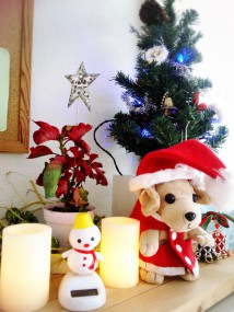 15-12-22-06-56-11-997_deco