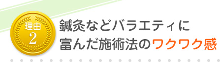 鍼灸などバラエティに富んだ施術法のワクワク感